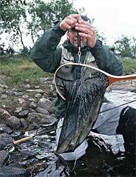 Foto: Martin Falklind